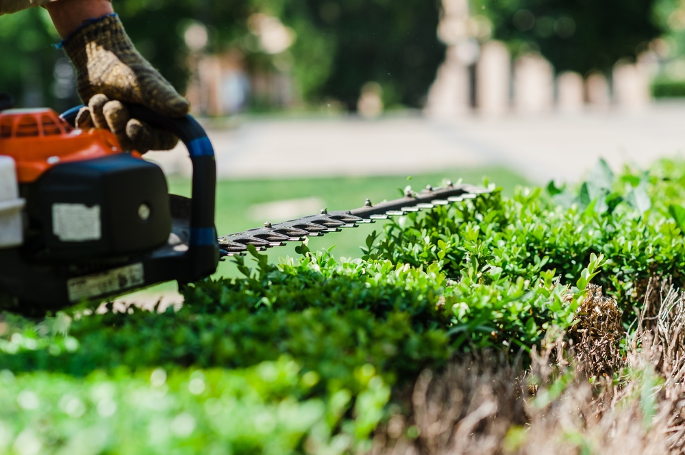 Commercial grounds maintenance - placeholder image